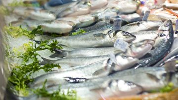 Prínos rybieho mäsa