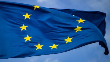 Strom vedľa presklenej budovy